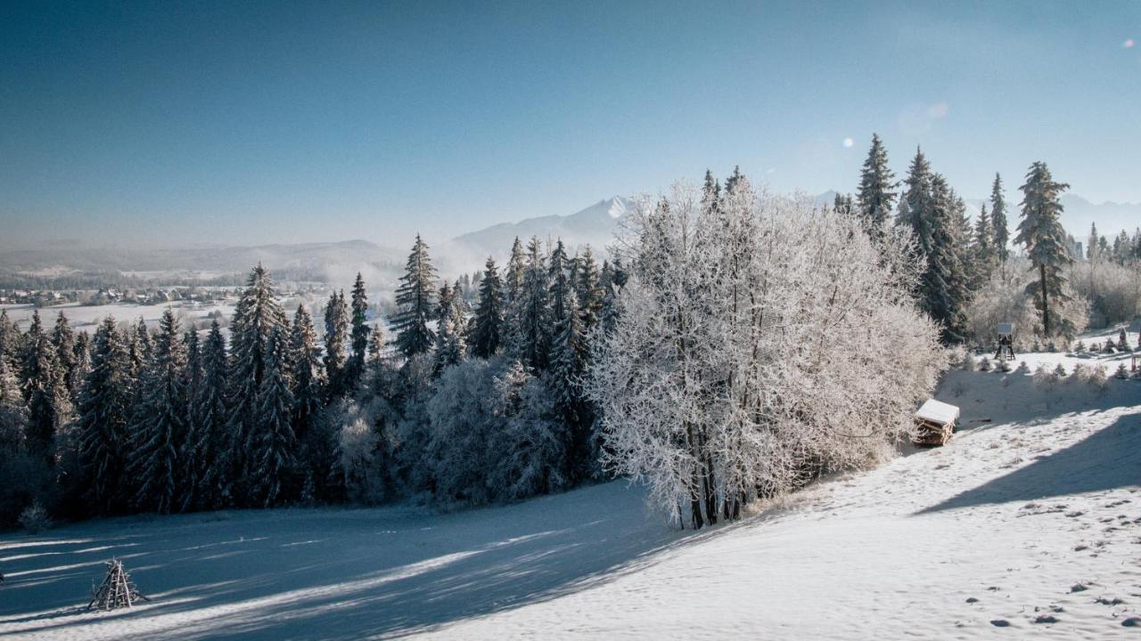 Willa Pachowka - Tam, Gdzie Natura Spotyka Sie Z Nowoczesnoscia Bukowina Tatrzańska Extérieur photo